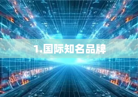 1.国际知名品牌